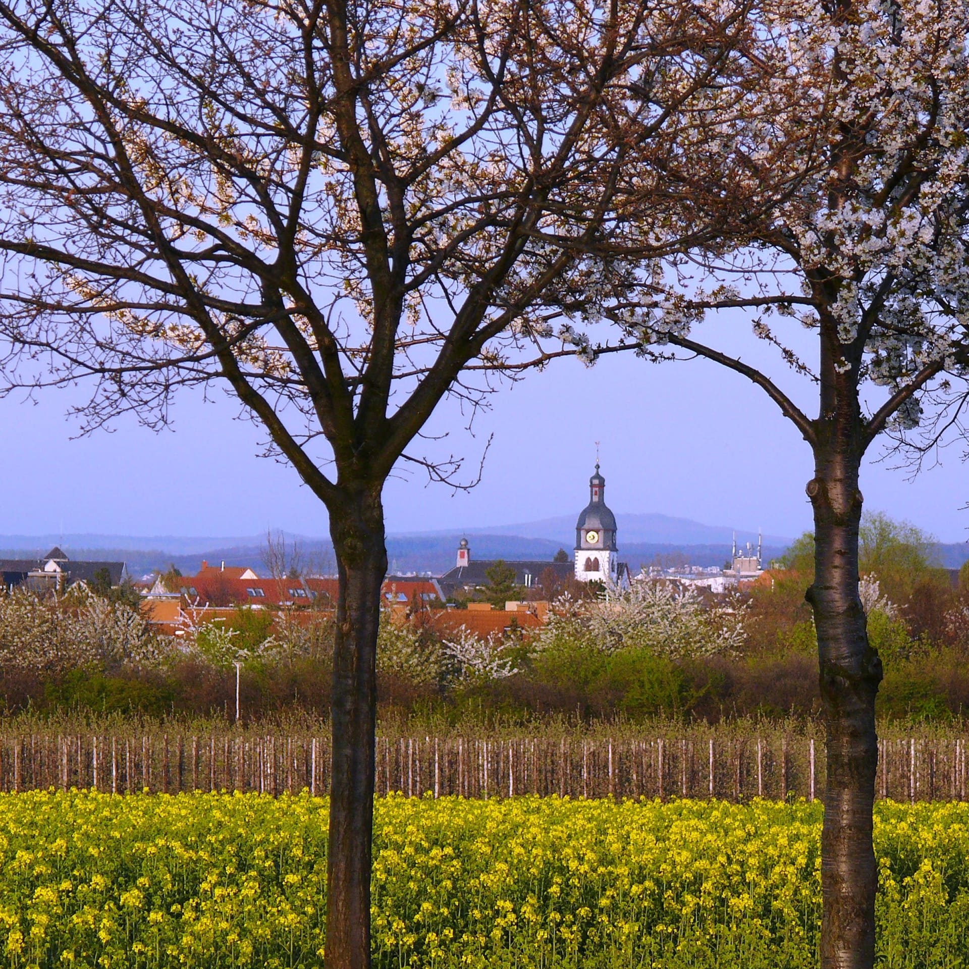 Stadt Rheinbach Stadt Rheinbach