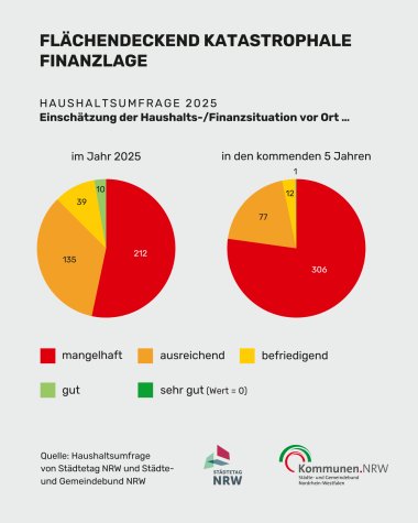 Haushaltsumfrage 2025 - Finanzsituation