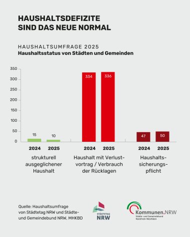 Haushaltsumfrage 2025 - Haushaltsdefizite